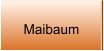 Maibaum